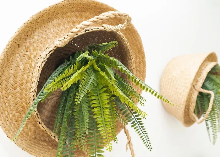 Picnic Dreams BoutiqueBoutique Hotel